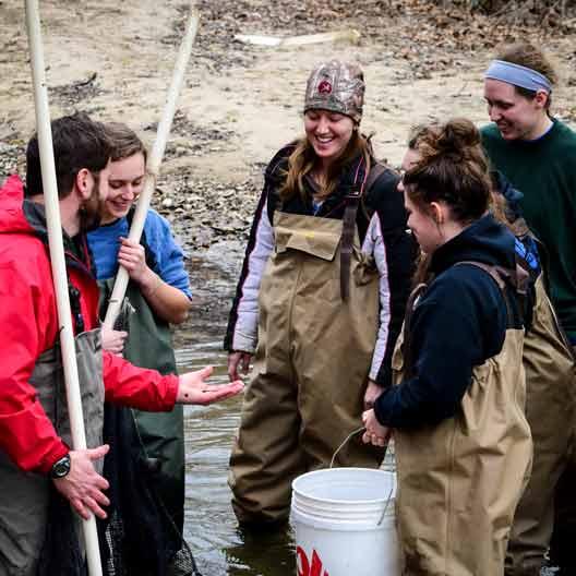 学生们和博士一起检查小溪里的鱼. 生物课上的泰伦斯·马洛伊